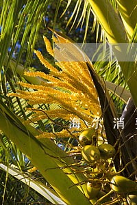 海尔消费金融逾期多久上报 海尔消费金融逾期多久上报