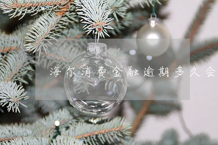 海尔消费金融逾期多久会上征信