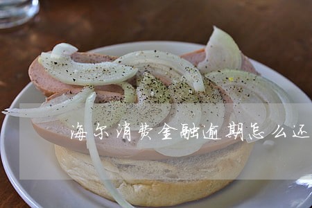 海尔消费金融逾期怎么还 海尔消费金融逾期怎么还