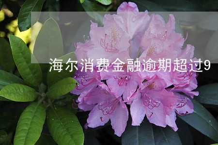 海尔消费金融逾期超过90 海尔消费金融逾期超过90