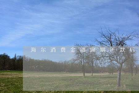 海尔消费金融逾期还款后果是什么 海尔消费金融逾期还款后果是什么