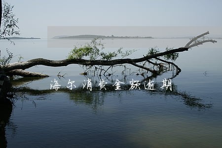 海尔消费金额逾期 海尔消费金额逾期