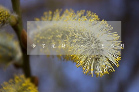 海尔逾期2天会怎么样 海尔逾期2天会怎么样