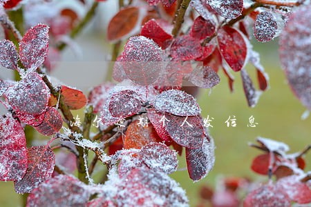海尔逾期个人发信息 海尔逾期个人发信息