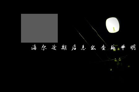 海尔逾期后怎么查账单明细 海尔逾期后怎么查账单明细