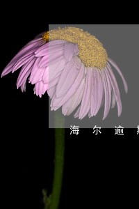 海尔逾期短信说会上门 海尔逾期短信说会上门