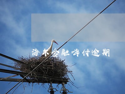 海尔金融嗨付逾期 海尔金融嗨付逾期