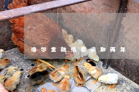 海尔金融消费逾期两年 海尔金融消费逾期两年