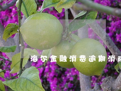 海尔金融消费逾期消除 海尔金融消费逾期消除