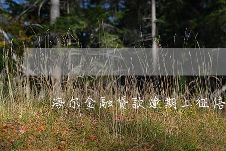 海尔金融贷款逾期上征信吗 海尔金融贷款逾期上征信吗