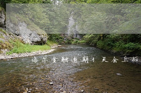 海尔金融逾期3天会上征信吗 海尔金融逾期3天会上征信吗