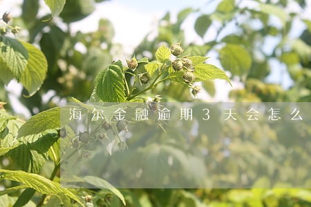 海尔金融逾期3天会怎么样 海尔金融逾期3天会怎么样