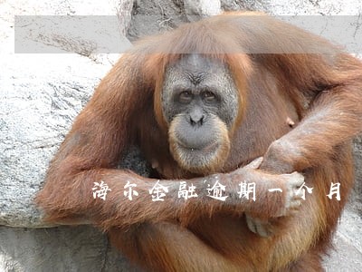 海尔金融逾期一个月 海尔金融逾期一个月
