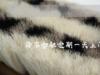 海尔金融逾期一天上门 海尔金融逾期一天上门