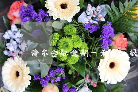海尔金融逾期一天会上报征信吗 海尔金融逾期一天会上报征信吗