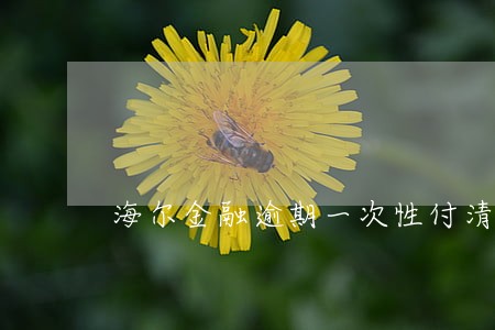 海尔金融逾期一次性付清 海尔金融逾期一次性付清