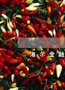 海尔金融逾期三个月要怎么还款 海尔金融逾期三个月要怎么还款