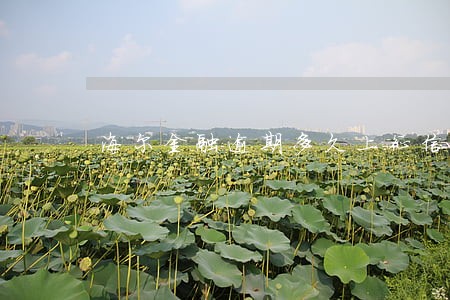 海尔金融逾期多久上征信 海尔金融逾期多久上征信