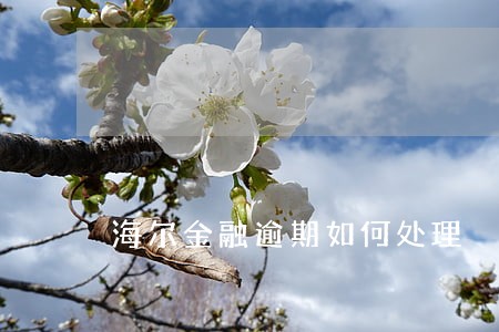 海尔金融逾期如何处理 海尔金融逾期如何处理