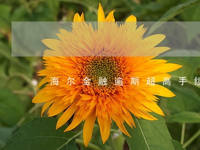 海尔金融逾期超高手续费 海尔金融逾期超高手续费