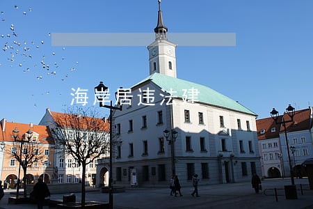 海岸居违法建 海岸居违法建