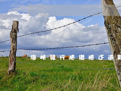 海峡银行随借随还逾期利息