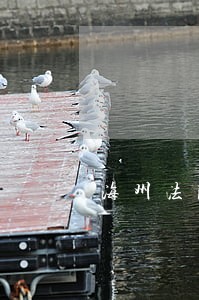海州法院直播 海州法院直播