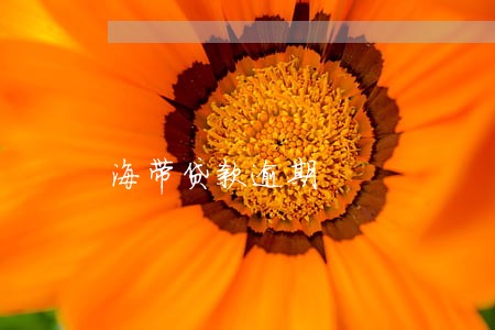 海带贷款逾期 海带贷款逾期