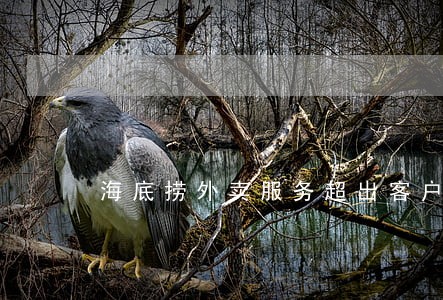 海底捞外卖服务超出客户逾期 海底捞外卖服务超出客户逾期
