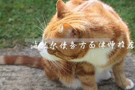 海拉尔债务方面律师推荐 海拉尔债务方面律师推荐