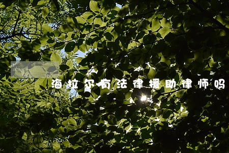 海拉尔有法律援助律师吗 海拉尔有法律援助律师吗