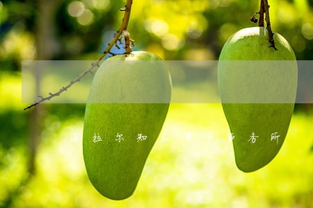 海拉尔知名律师事务所 海拉尔知名律师事务所