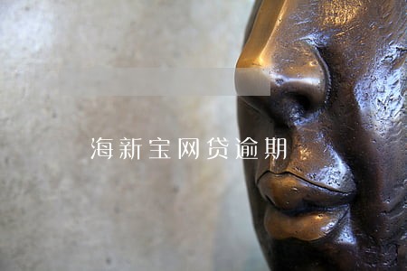 海新宝网贷逾期 海新宝网贷逾期