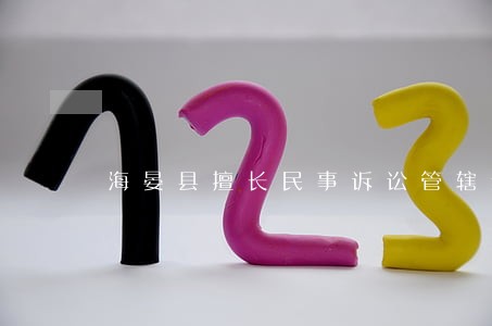 海晏县擅长民事诉讼管辖纠纷律师