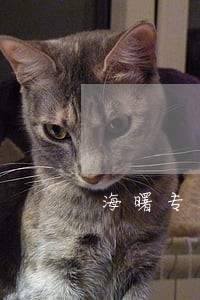 海曙专业离婚律师收费 海曙专业离婚律师收费