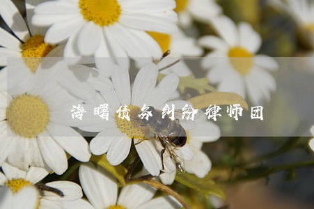 海曙债务纠纷律师团 海曙债务纠纷律师团