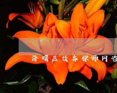 海曙区债务律师网咨询 海曙区债务律师网咨询