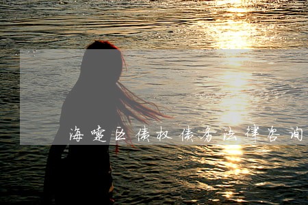 海曙区债权债务法律咨询 海曙区债权债务法律咨询