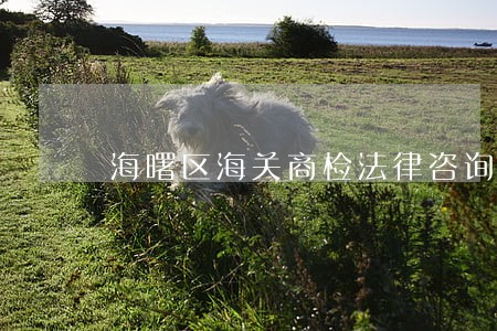 海曙区海关商检法律咨询热线 海曙区海关商检法律咨询热线