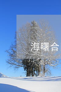海曙合同纠纷律师介绍 海曙合同纠纷律师介绍