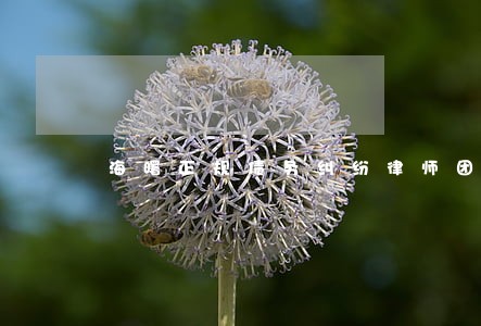 海曙正规债务纠纷律师团队 海曙正规债务纠纷律师团队