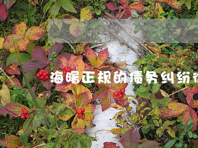 海曙正规的债务纠纷律师费用 海曙正规的债务纠纷律师费用