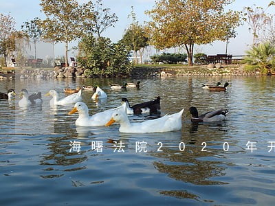 海曙法院2020年开庭公告 海曙法院2020年开庭公告