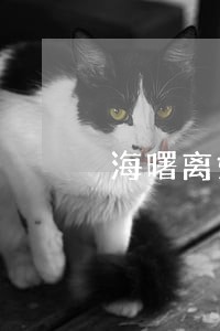 海曙离婚律师多少钱 海曙离婚律师多少钱