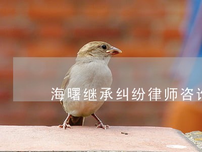 海曙继承纠纷律师咨询 海曙继承纠纷律师咨询