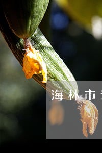 海林市诉讼仲裁免费法律咨询热线 海林市诉讼仲裁免费法律咨询热线