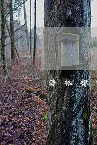 海林律师推荐