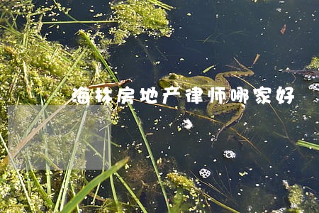 海林房地产律师哪家好 海林房地产律师哪家好