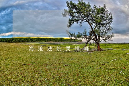 海沧法院吴靖峰 海沧法院吴靖峰