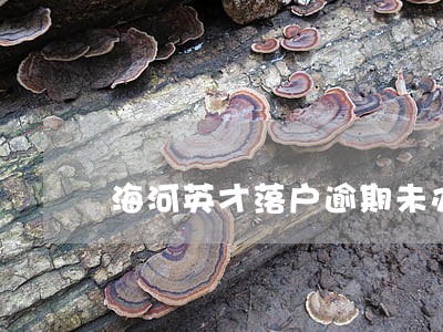 海河英才落户逾期未办理 海河英才落户逾期未办理